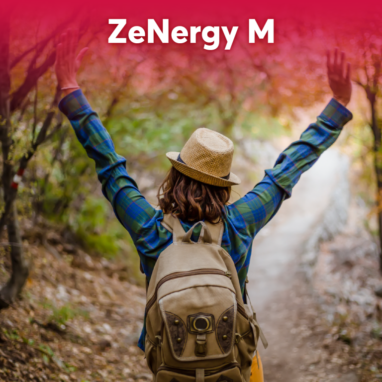 ZeNergy M